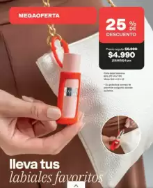 Catálogo Avon Página 23: Porta - leva tus labial €4.990,00