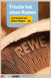 Rewe DE folder week 34 Pagina 34