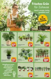 Rewe DE folder week 34 Pagina 10