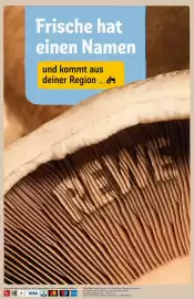 Rewe DE folder week 34 Pagina 34