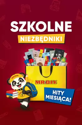 MR. DIY (ważność do 31-08)