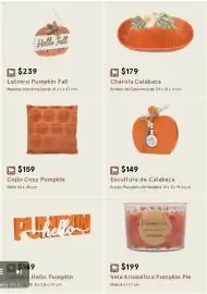 Catálogo Coppel Página 29
