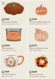 Catálogo Coppel Página 30