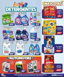 Folleto El Florido Página 9