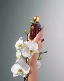 Catálogo Sanborns Página 2