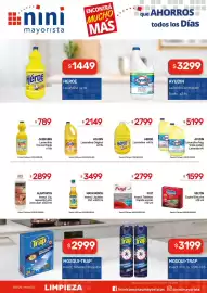 Catálogo Nini Mayorista semana 34 Página 11: Fuyi insect. tabletas rapida accion €2.799,00, Selton espiral estuche €1.599,00
