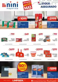 Catálogo Nini Mayorista semana 34 Página 15: Suiza lustram. aerosol €2.999,00, Make esponja fibra fuerte rosa €54.900,00