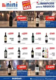 Catálogo Nini Mayorista semana 34 Página 18: Norton cosecha tardía varios €3.999,00