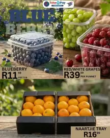 Take 'n Pay catalogue Page 3