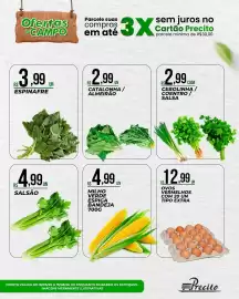 Catálogo Supermercado Precito Página 13: Catalonha / Almeirão €2,99, Cebolinha / coentro / salsa €2,99