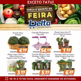 Catálogo Delta Supermercados Página 7