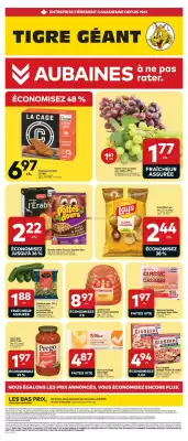 Giant Tiger flyer (valid until 25-08)
