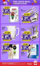 Polomarket gazetka tydzień 34 Strona 17: Ziemia uniwersalna Arex €4,00, Dzbanek Alva €9,00