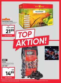 Maximarkt Flugblatt woche 34 Seite 8