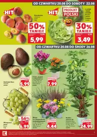 Kaufland gazetka tydzień 34 Strona 5: Sałata lodowa K-Stąd Takie Dobre €3,49