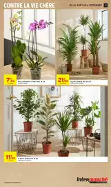 Catalogue Intermarché Hyper page 17: PHALAENOPSIS 2 TIGES POT 12 CM €7,99, LA PLANTE PLANTE VERTE €21,99