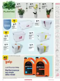 Folheto Continente semana 34 Página 51: Planta natural sansevieria €10,99, Planta natural phalaenopsis mini €8,99
