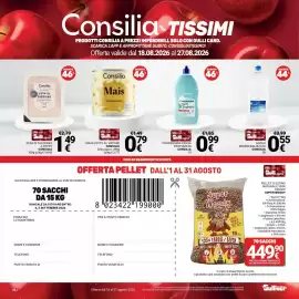 Volantino Supermercati Gulliver Pagina 20: Mais Consilia €0,79, Candeggina densa profumata Consilia €0,99