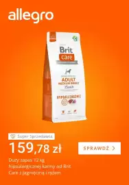 Allegro gazetka tydzień 34 Strona 5