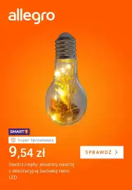 Allegro gazetka tydzień 34 Strona 2: Żarówka dekoracyjna retro LED €9,54