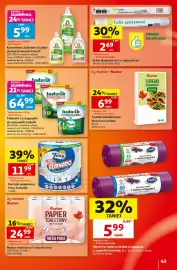 Auchan gazetka tydzień 34 Strona 43: Koncentrat, balsam lub płyn do mycia naczyń Frosch €5,99