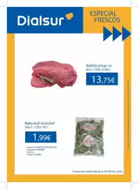 Folleto Dialsur Cash & Carry semana 34 Página 1: Babilla anojo vc €13,75, Origen - baby leaf vivochef €1,99