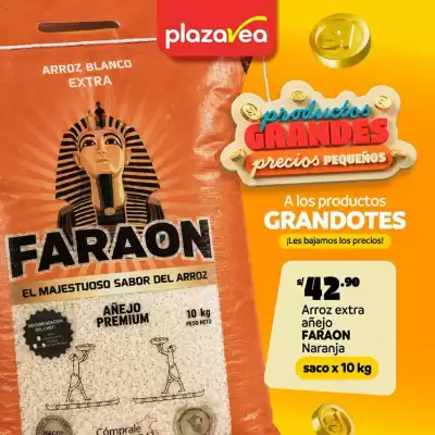 Catálogo Plaza Vea (válido hasta 31-08)