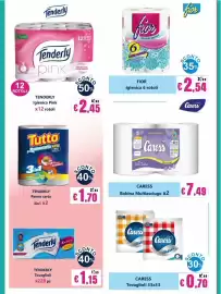 Volantino Euroshop Pagina 8: Caress Bobina Multiasciugo €7,49, Tutto Pannocarta €1,70