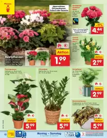 Netto Marken-Discount Prospekt woche 35 Seite 14