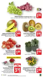 E-Center Prospekt Seite 11