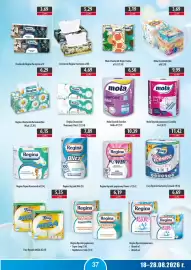 DUO-TES gazetka Strona 37: Chusteczki Regina Harmonia a100 €5,29, Regina Ręcznik Blitz €7,89