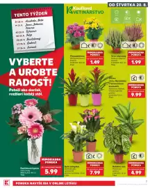 Kaufland SK akciós újság hét 34 Oldal 7