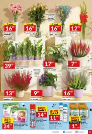 Twój Market gazetka tydzień 34 Strona 21