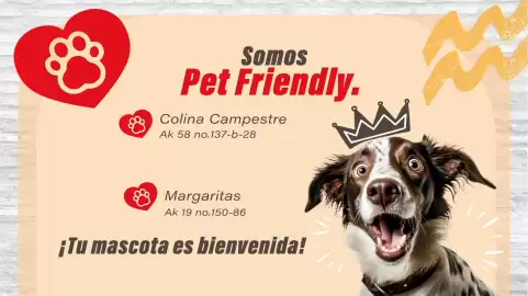 Catálogo Cali Vea Página 1