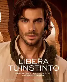 Catálogo L'bel Página 24