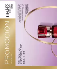 Catálogo L'bel Página 6