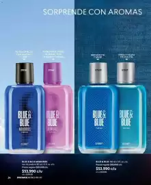 Catálogo Cyzone Página 24: Mandarina - blue & blue memories eau de parfum 90 ml / 3fl. oz €680.000,00