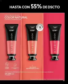 Catálogo Cyzone Página 49: Blush - studio look bubub mouse blush €26.600,00