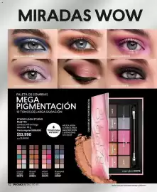 Catálogo Cyzone Página 52: Studio f - paleta de sombras mega pigmentación €53.990,00