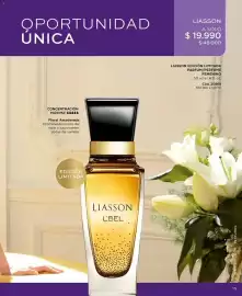 Catálogo L'Bel Página 15