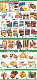 Pete's Fresh Market weekly ad week 34 Page 2: Desert Gem Cactus Combo €19,99, Outdoor Fall Mum Plant €8,99