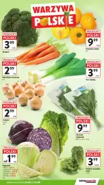 Intermarche gazetka tydzień 34 Strona 15: Cebula łuska luz €1,99, Sałata rzymska mini €3,99