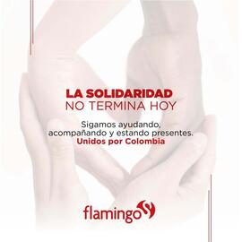 Catálogo Flamingo Página 4