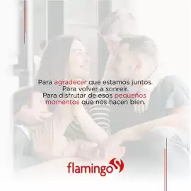 Catálogo Flamingo Página 3