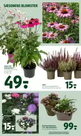 Coop 365 tilbudsavis uge 34 Side 23: Lyng €15,00, Blomsterdekoration i ler- eller zinkskjuler €99,00