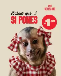 Catálogo Don Belisario Página 1