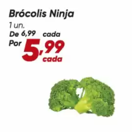 Tabloide Dia Página 67