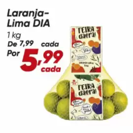Tabloide Dia Página 77