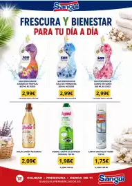 Folleto Sangüi Página 25: Agerul crema de limpieza original €1,98, Limpia Cristales Turbo €1,75