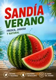 Folleto Sangüi Página 3